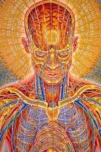 702455 702455