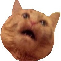 1321801 1321801
