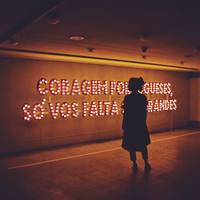 1398672 1398672