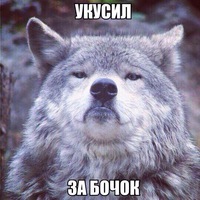 1268887 1268887
