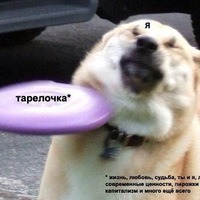 733903 733903