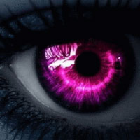 747303 747303