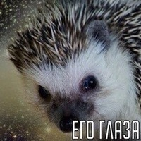 719475 719475
