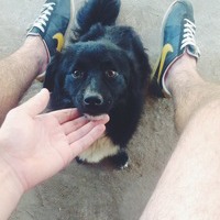 725171 725171