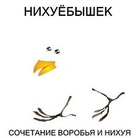 775215 775215