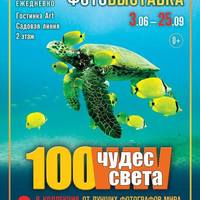 1310905 1310905