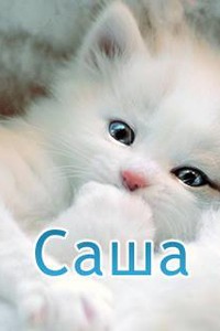 704469 704469
