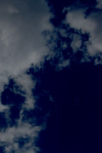 69481 69481