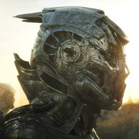 731339 731339