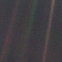 1201557 1201557