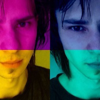 1295617 1295617