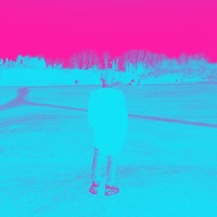 713913 713913