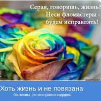 780379 780379