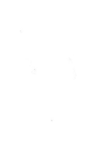 28917 28917