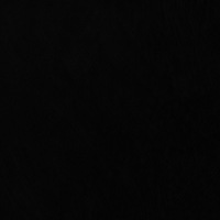 1241843 1241843