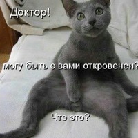 735859 735859