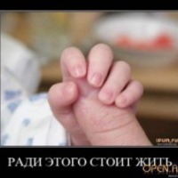 747833 747833