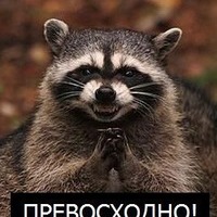 765261 765261