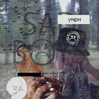 1295411 1295411