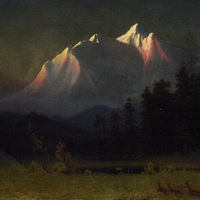 1181919 1181919