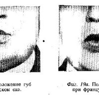 1336251 1336251