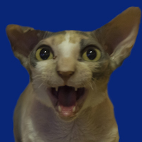 1255883 1255883