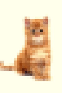 704787 704787