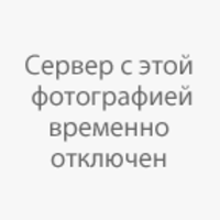1314859 1314859