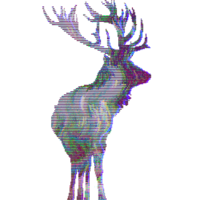 1302471 1302471