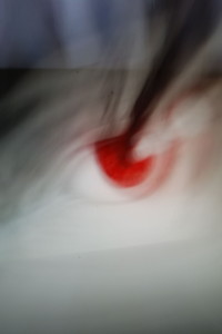28934 28934