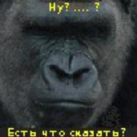 1276043 1276043