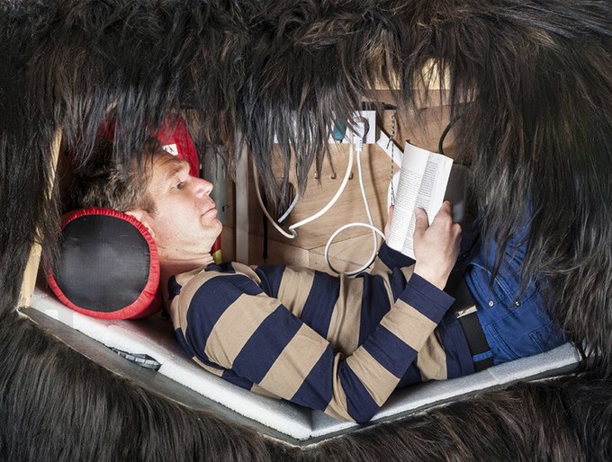 Художник из Франции прожил две недели в чучеле медведя. Изображение № 3.