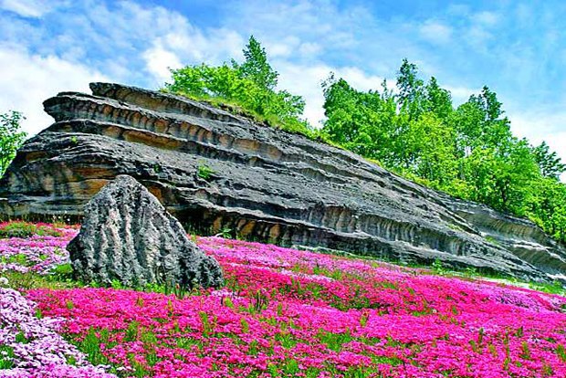 Город в Японии обиделся на писателя Харуки Мураками. Изображение № 2.
