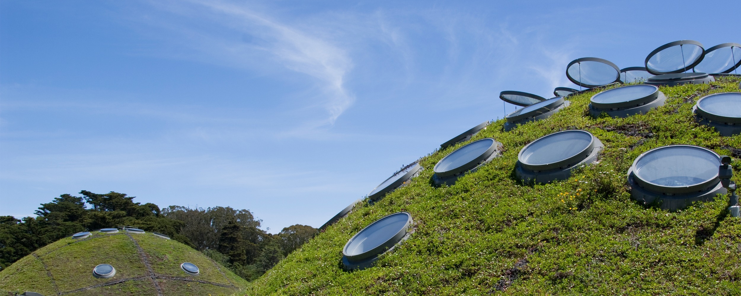 The green roof: how ancient architecture shaped modern sustainable design