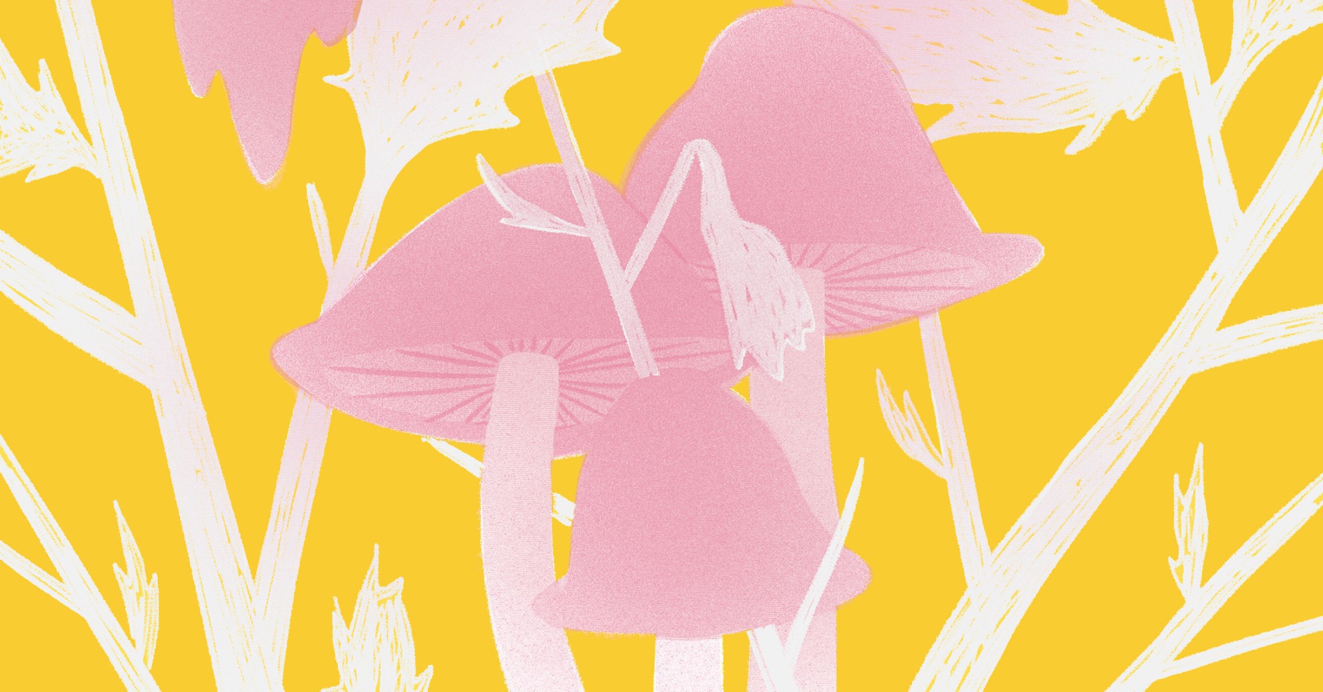 Why do some hallucinogens cause universal hallucinations?