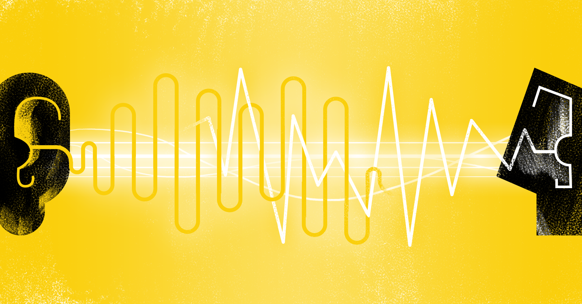 What determines people's taste in music?