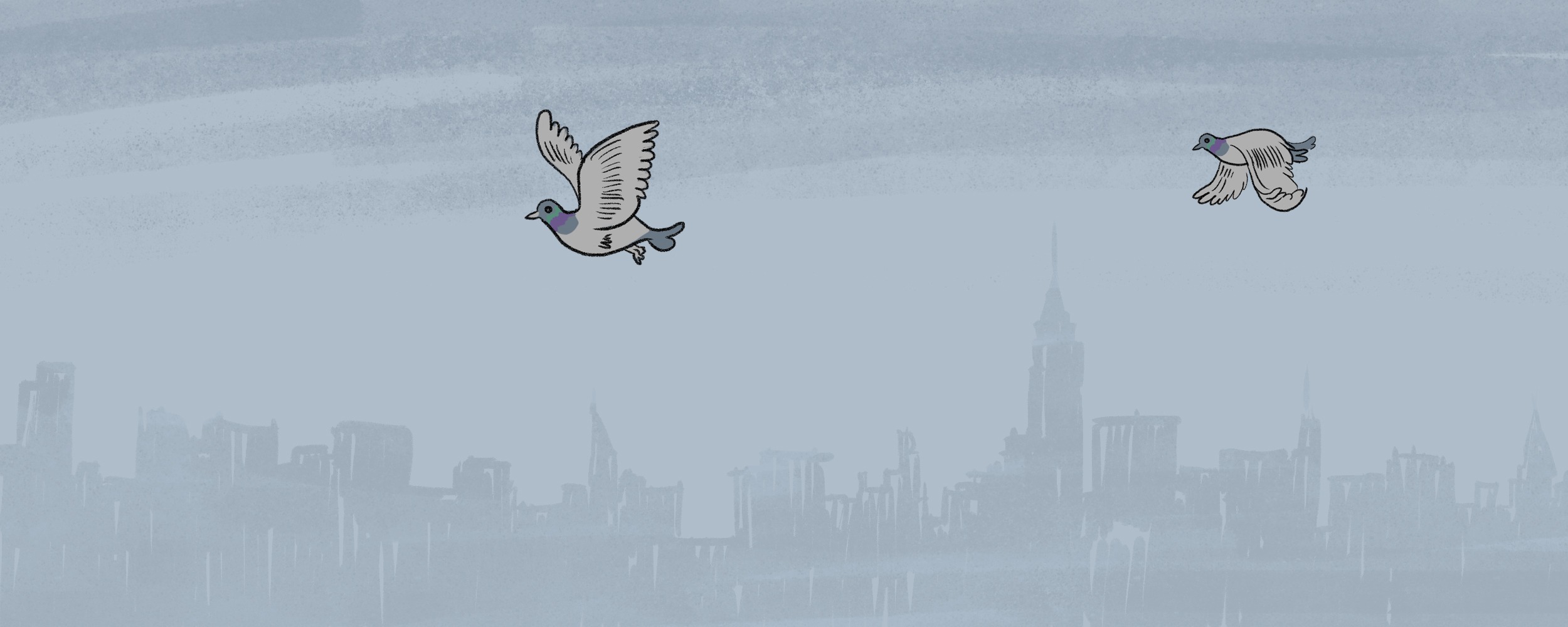 What is the mathematical probability of getting pooped on by a pigeon in NYC?