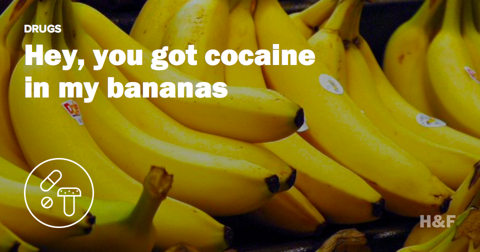 Hey, you got cocaine in my bananas
