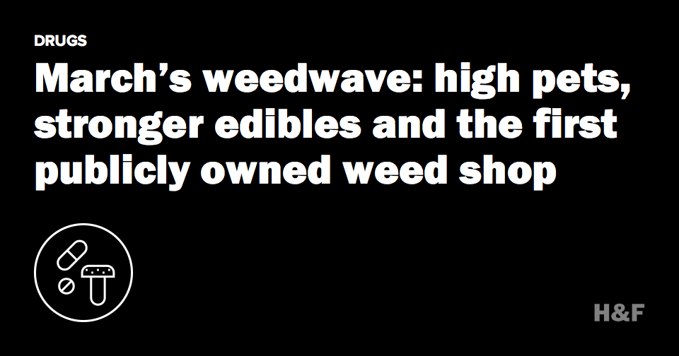 March’s weedwave: high pets, stronger edibles and the first publicly owned weed shop