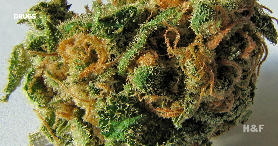 The kids feel differently about weed these days