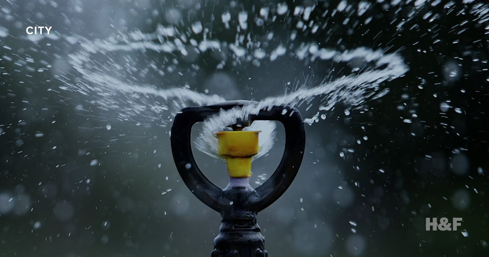 Beyond almond-shaming and crisis-clicks: a sustainable water policy toolkit