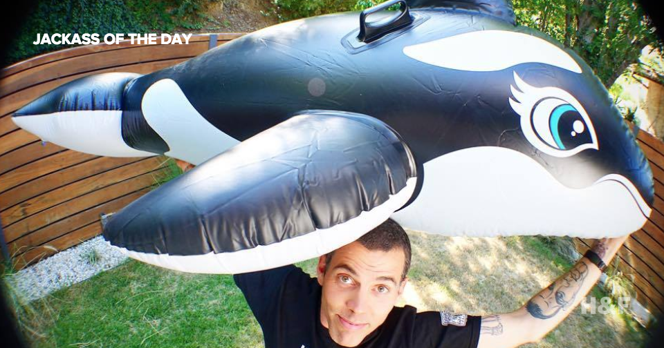 Professional 'Jackass' Steve-O was arrested for climbing a crane with an inflatable orca