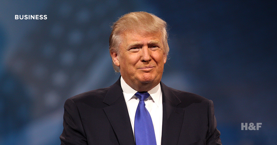 How much is Donald Trump's hair worth?