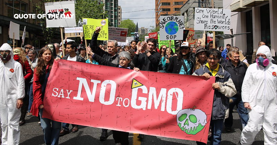 New article argues anti-GMO movement "is a sham"