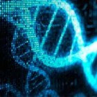 Учёные обнаружили в генах новый вид информации Учёные обнаружили в генах новый вид информации