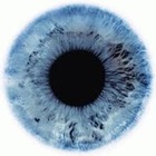 Ученые распечатали клетки сетчатки глаза Ученые распечатали клетки сетчатки глаза