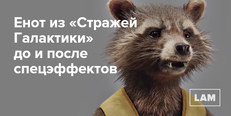 Цитата енота из стражей галактики Цитата енота из стражей галактики