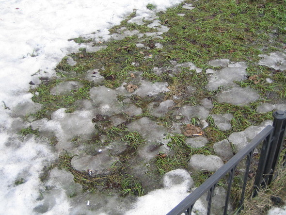 Собачья радость для людей. Изображение № 4.