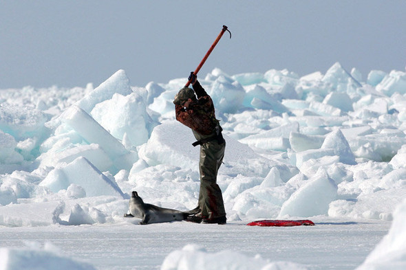 Сезон кровавой охоты открыт. Изображение № 3.