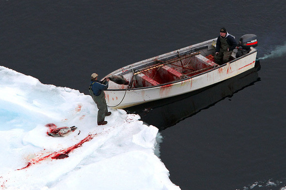 Сезон кровавой охоты открыт. Изображение № 6.